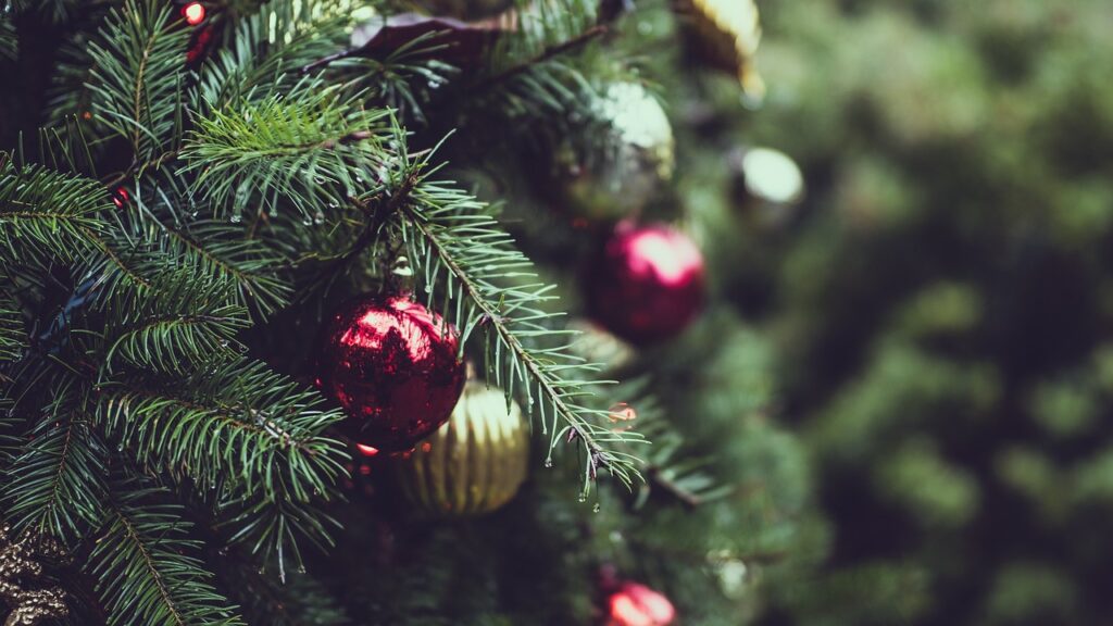 christmas, tree, lights, christmas tree safety