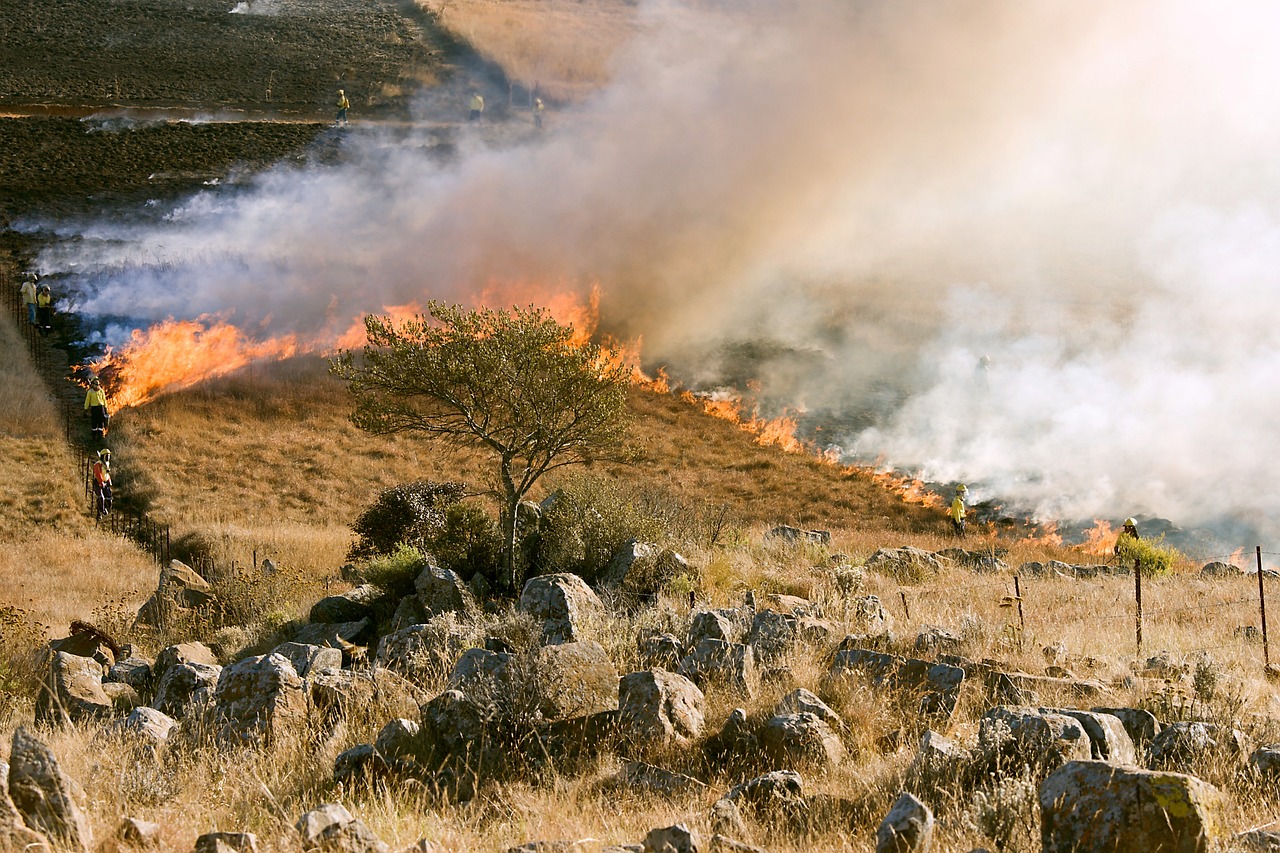grass fire, firefighter, smoke-807388.jpg